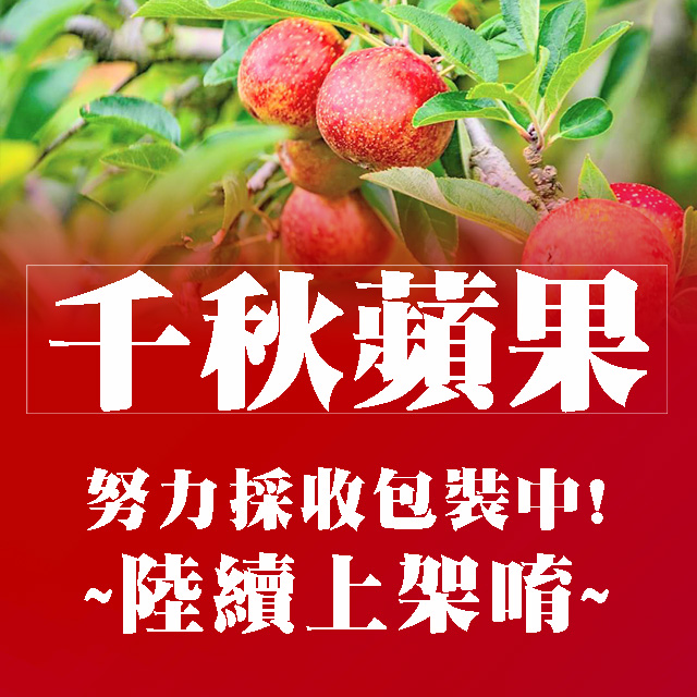 千秋蘋果。中箱裝